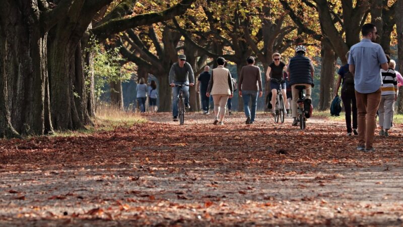 Stargardzki Ogród na Wzgórzu – nowa zielona oaza dla mieszkańców