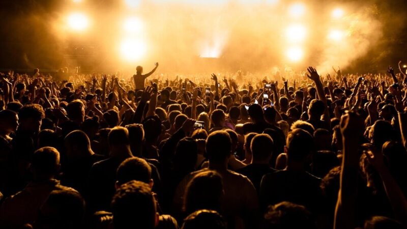 Muzyczne „Ogrody Śródmieście”: Letnia kompilacja z gwiazdami już dostępna!
