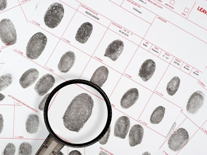 Zabójstwo w Policach: Prokuratura wprowadza areszt dla podejrzanych i środki zapobiegawcze dla popleczników