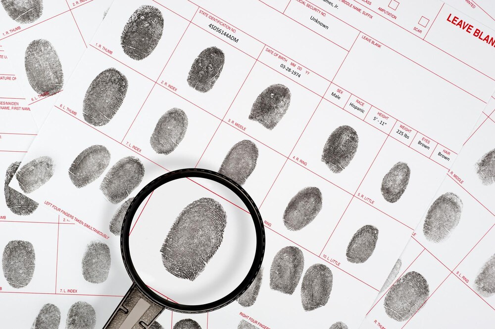 Zabójstwo w Policach: Prokuratura wprowadza areszt dla podejrzanych i środki zapobiegawcze dla popleczników