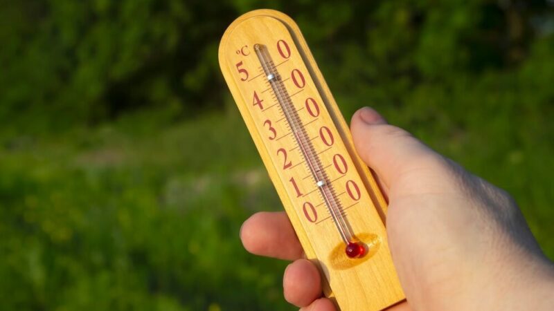 Szczecin: Prognoza pogody na 9 września 2025 – Słoneczny dzień z 25°C!
