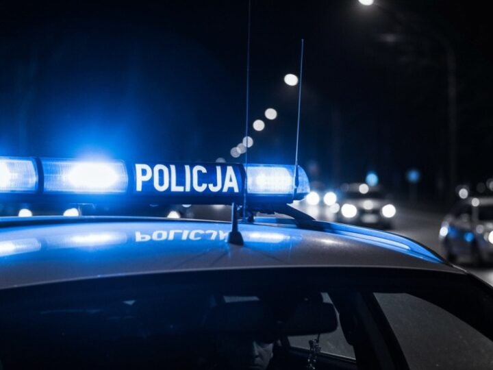 Szczecin: Zatrzymani kurierzy w akcji przemytniczej imigrantów