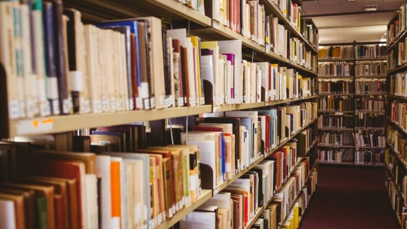 Ekscytujący tydzień w bibliotece: warsztaty, spotkania i kulinarne podróże!
