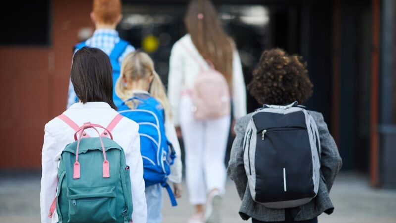 Gryfino świętuje Dzień Edukacji Narodowej: Uhonorujmy Nauczycieli i Pracowników Oświaty!