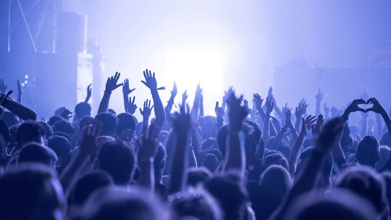 MIASTOTEKA: Festiwal Kulturalny, Który Poczujesz jak w Domu!