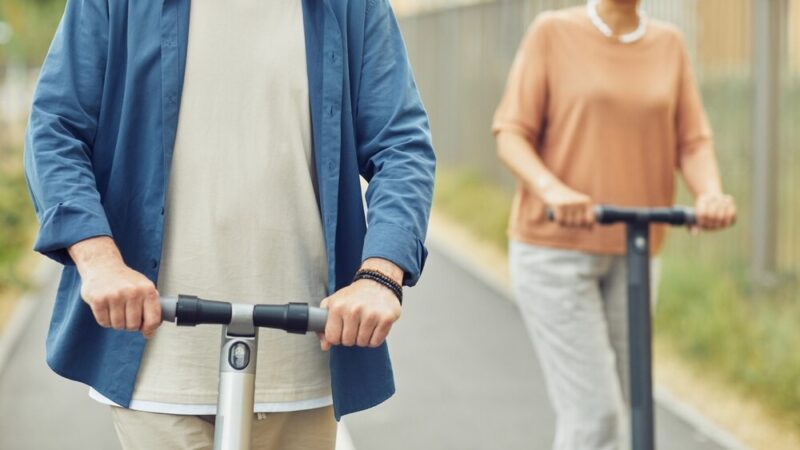 Niepokojący wzrost kolizji z dzikimi zwierzętami na drogach wojewódzkich – co musisz wiedzieć?