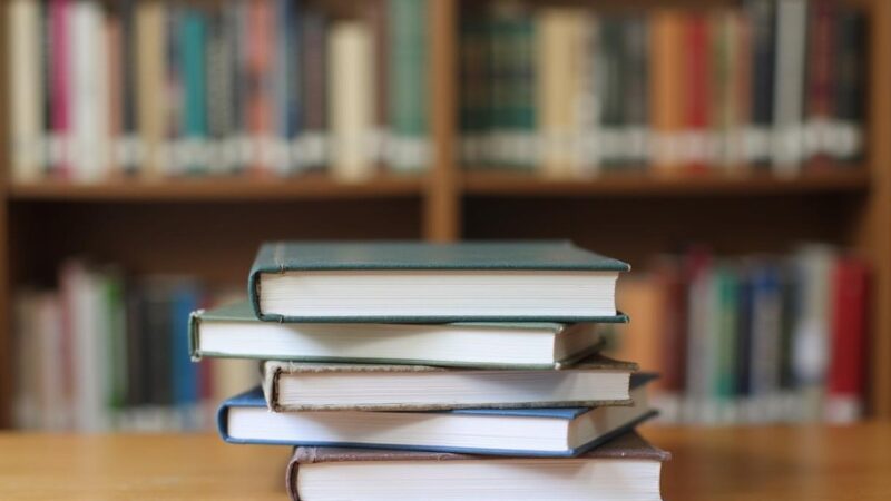 Listopadowa magia w bibliotece: ciepło, wiedza i kulturalne spotkania