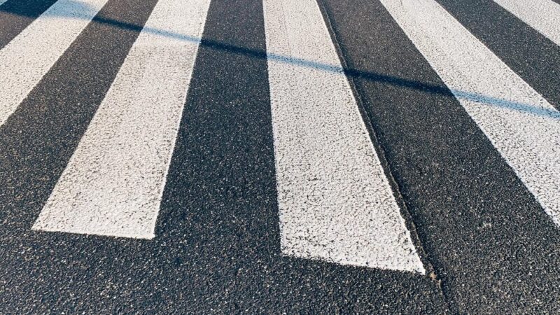 Strażacy ratują pieska uwięzionego w rurze deszczowej w Szczecinie