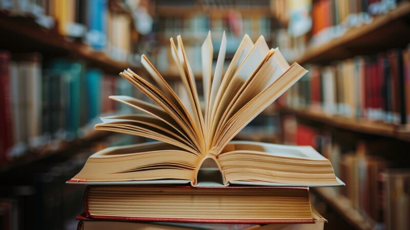 Pomorzajki – baśnie z Pomorza ożywają na nowo!