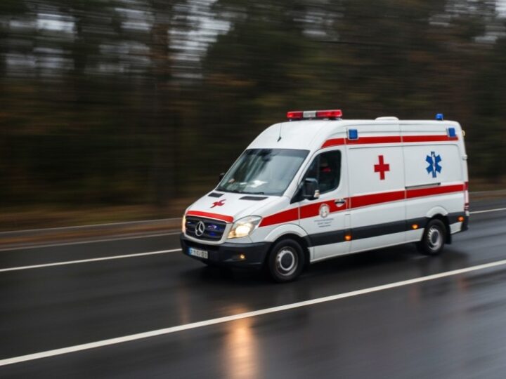 Psy ratownicze w akcji: międzynarodowe poszukiwania zaginionych na pograniczu