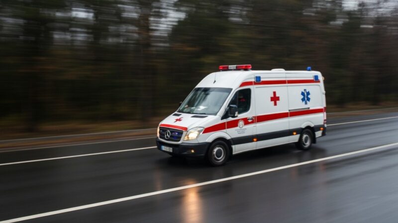 Psy ratownicze w akcji: międzynarodowe poszukiwania zaginionych na pograniczu