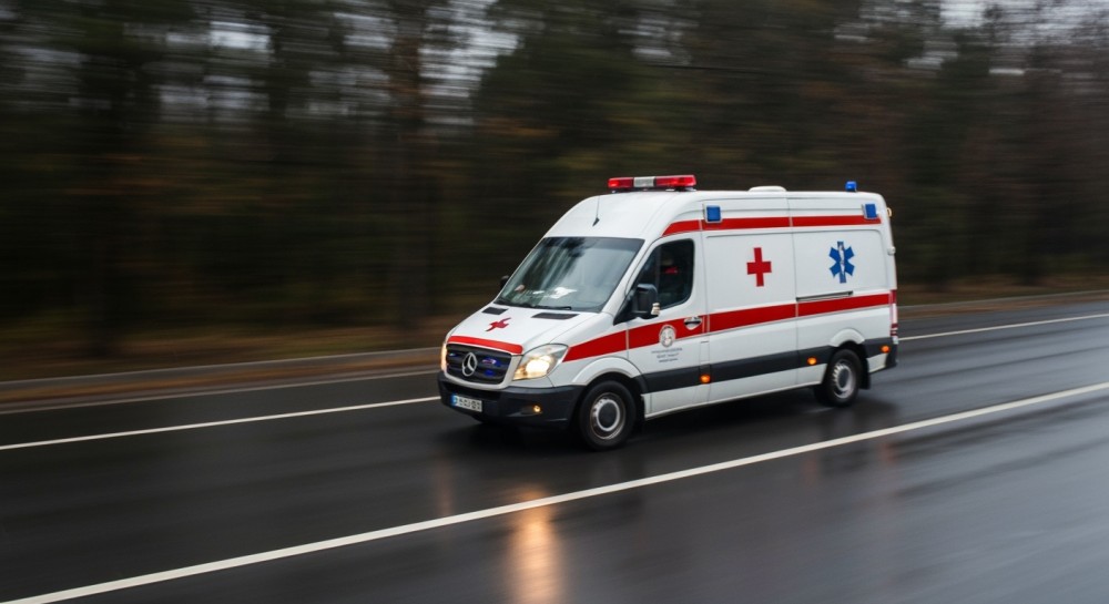 Psy ratownicze w akcji: międzynarodowe poszukiwania zaginionych na pograniczu