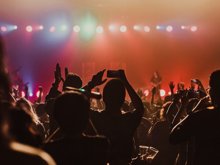 Karnawałowa przygoda z żyrafą Gafą w Tanecznej Dżungli!