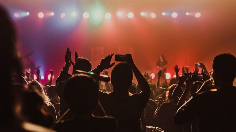 Karnawałowa przygoda z żyrafą Gafą w Tanecznej Dżungli!