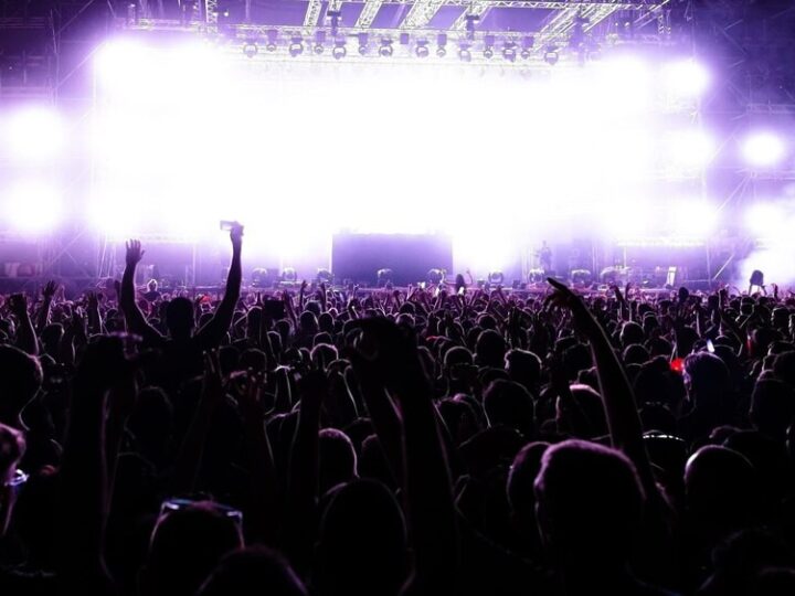 Muzyczne odkrycia na powitanie Nowego Roku w Vivacie