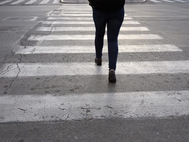 Strażnicy miejscy ratują rannego łabędzia na drodze