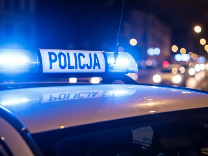 Recydywista złapany na gorącym uczynku po serii włamań w Pogodnie