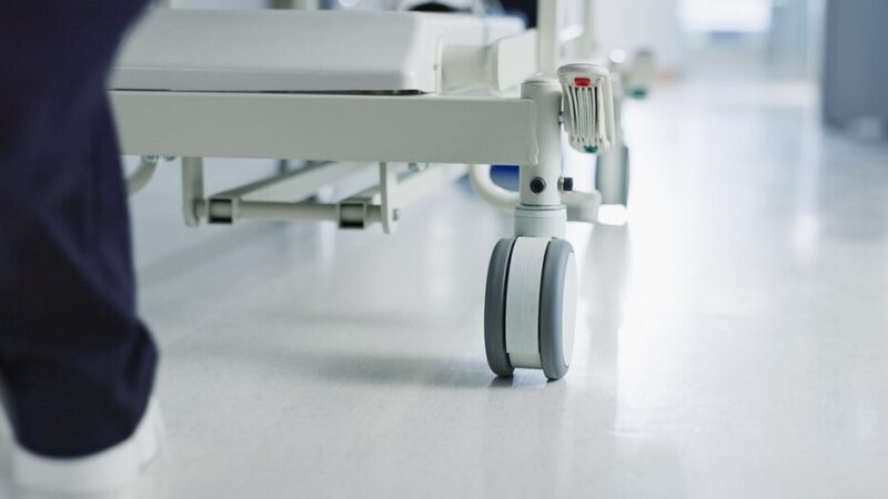 Odkryj swoje zdrowotne supermoce na Targach w Gryfinie!