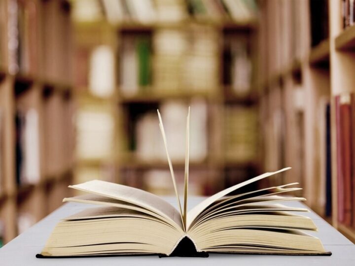 Wiosenne inspiracje w Szczecinie: kultura i natura w jednym!