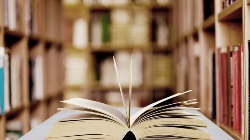 Wiosenne inspiracje w Szczecinie: kultura i natura w jednym!