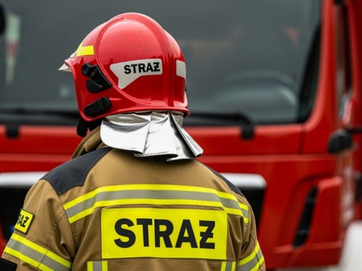 Gryfino przystępuje do walki z pożarami traw: dołącz do kampanii „Stop Pożarom Traw”!