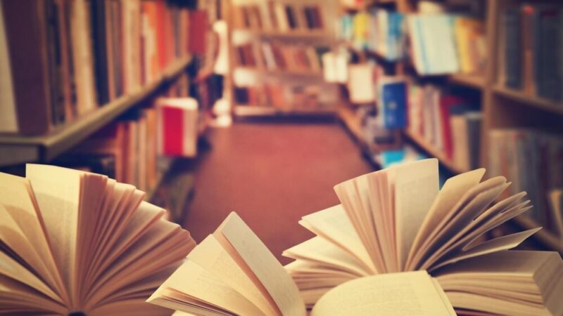 Kryminał w Szczecinie: Odkryj tajemnice „Księgi grzechu” Przemysława Kowalewskiego!