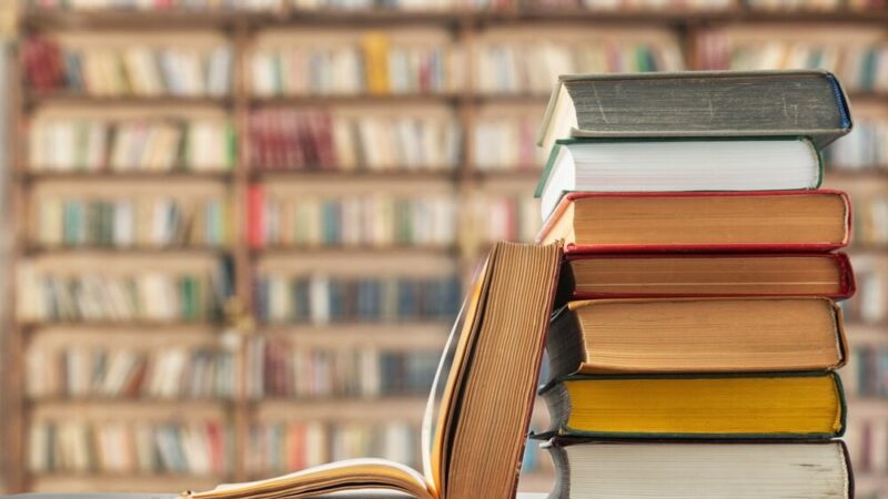 Ostatni dzień na nadanie imienia kotkowi bibliotecznemu!