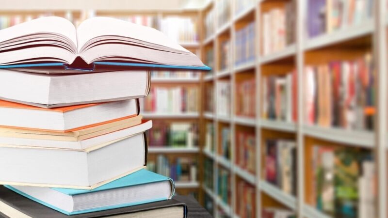 Odkryj Stanisławę Siarkiewicz na premierze „Gryfińskiego Zeszytu”