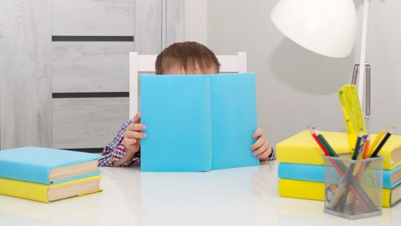 Szczeciński Budżet Obywatelski 2027: Twoje pomysły, Twoje miasto!