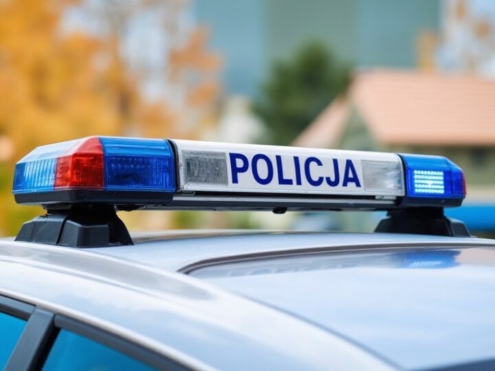 Bezpieczne i zdrowe psy policyjne: codzienna troska o czworonożnych bohaterów