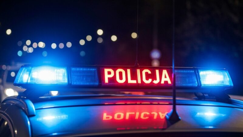 Przedszkolaki na fascynującej wycieczce do gryfińskiej policji