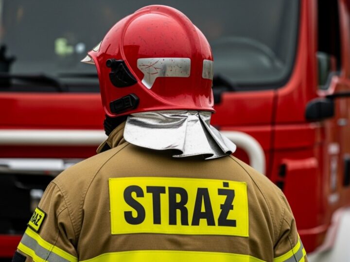 Zrezygnuj z ognia w lesie – ratuj szczecińskie tereny zielone!