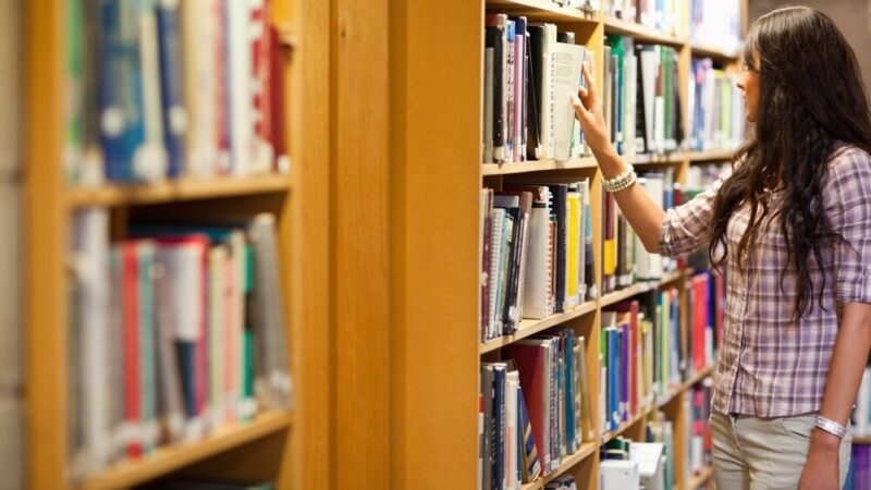 Gryfuś z Dąbia: Nowa ikona biblioteki odkrywa sekrety Szczecina