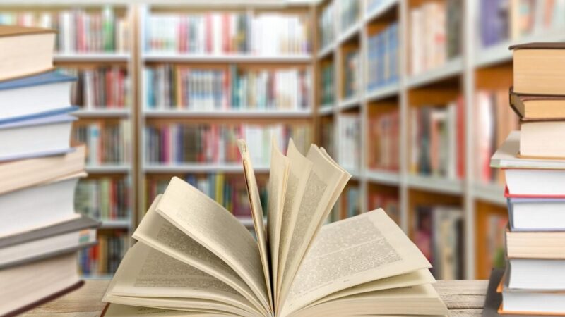 Biblioteczne Wakacje Pełne Inspiracji!