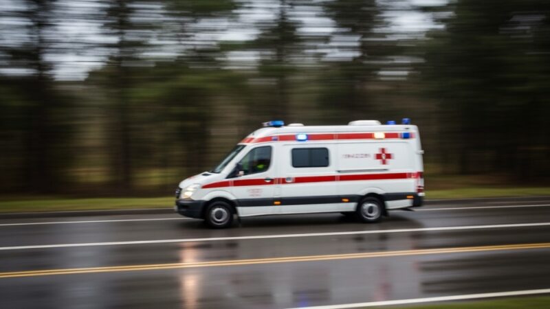 Dziś odpowiedzi na większość pytań szukamy w telefonie