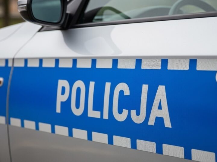 Sukces policji w akcji poszukiwawczej: Zaginiona kotka wraca do właścicielki!