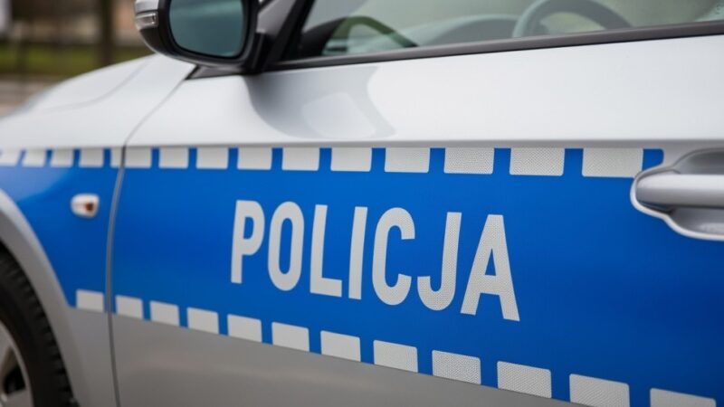 Sukces policji w akcji poszukiwawczej: Zaginiona kotka wraca do właścicielki!