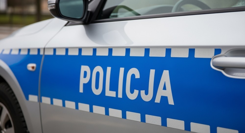 Sukces policji w akcji poszukiwawczej: Zaginiona kotka wraca do właścicielki!
