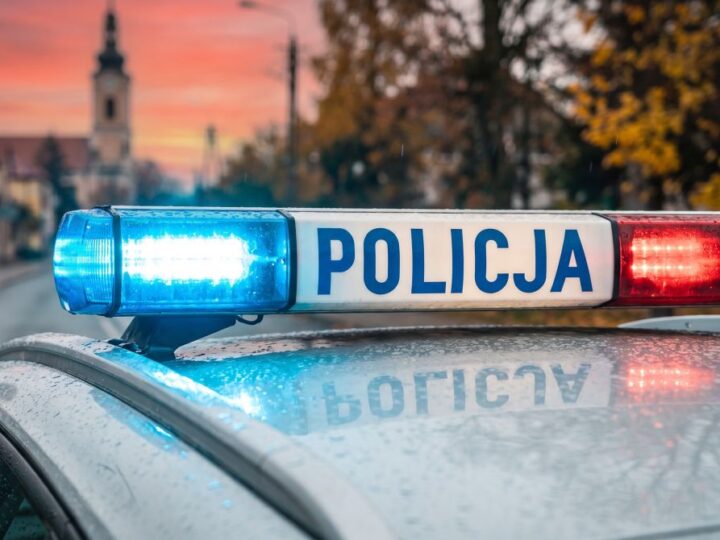 Kierowca z pięcioma zakazami uciekał przed policją i schował się w krzakach