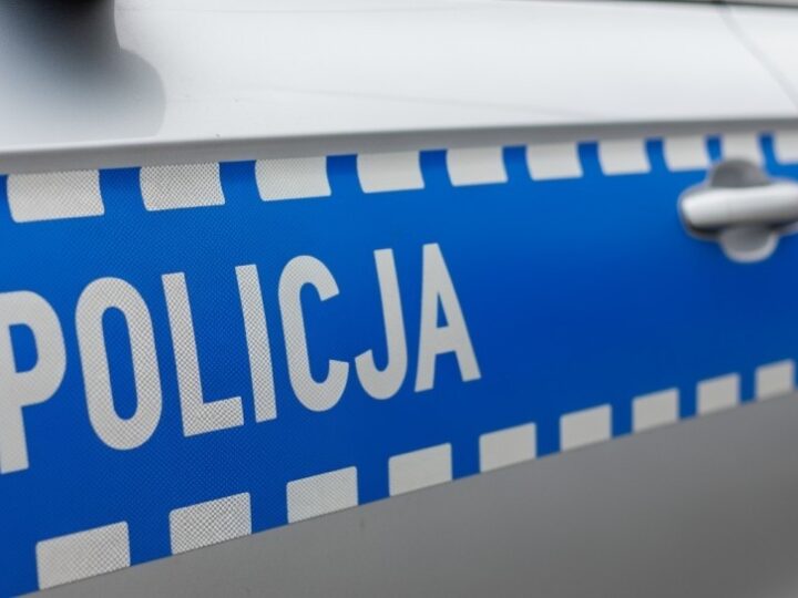 Szczyt umiejętności psów służbowych w Szczecinie