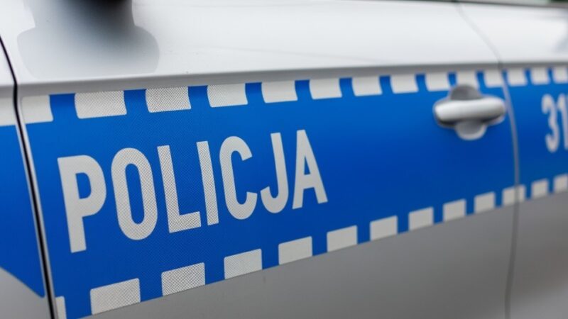 Szczyt umiejętności psów służbowych w Szczecinie