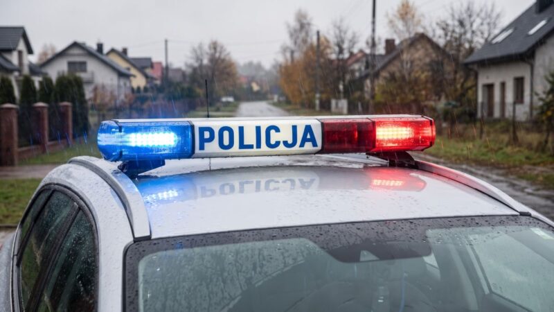 Policjanci uczą przedszkolaki bezpieczeństwa na drodze