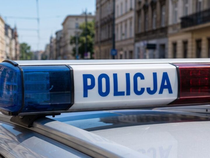 Szczecińscy policjanci przechwycili ponad 250 gramów narkotyków w mieszkaniu